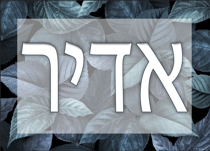 שלט כניסה לבית ברקע עלים